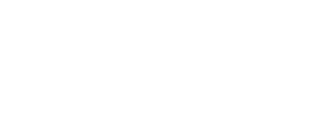 Zarova Group IT